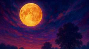 Today Is Ideal for Shifting Your Life Path